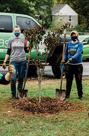 Colleagues with Nashville-based Physician Services Group give back at a tree-planting volunteer project.