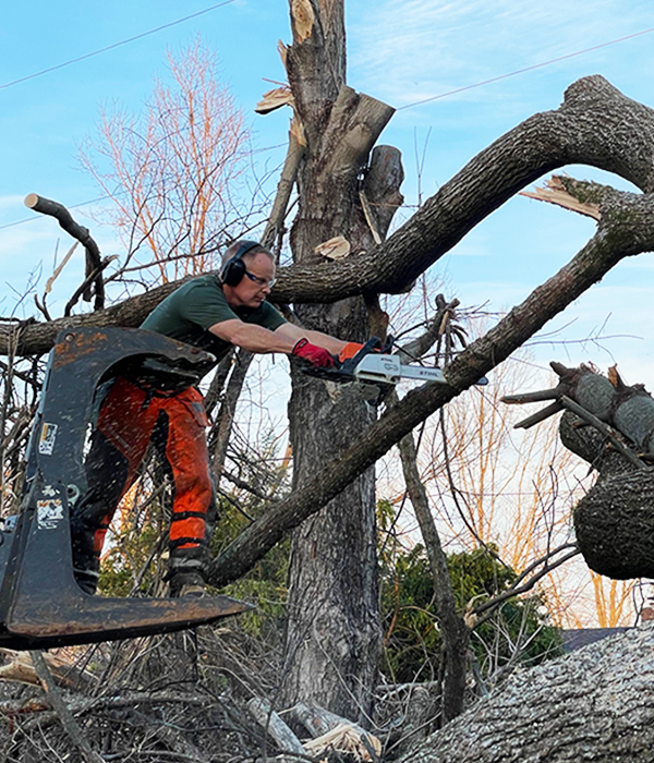 Mike Sherrod, CEO at TriStar Greenview Regional Hospital, helps remove fallen trees caused by the tornadoes that struck the community of Bowling Green, KY.