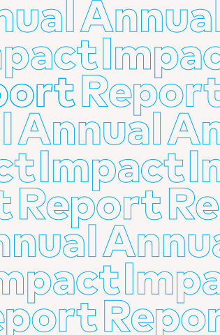 Cropped typography from the cover of the Annual Impact Report.